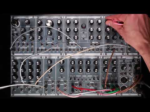 ACL Dual Delay Tutorial Video