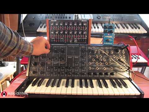 KORG MS20 &amp; Doepfer Dark Time Sequencer