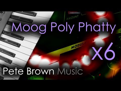 Moog Slim Phatty Poly Chain x6 [Polyphonic Moog Synth Demo]