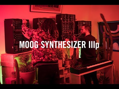 Moog Synthesizer IIIp