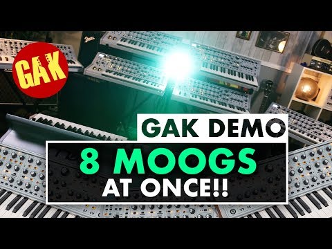 Playing 8 MOOGs At Once!
