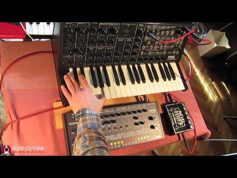 KORG MS20 Beat Distortio &amp; Filter Overdrive