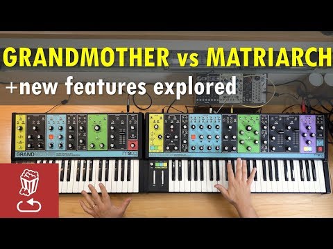 Matriarch vs. Grandmother // New Features in Moog Matriarch