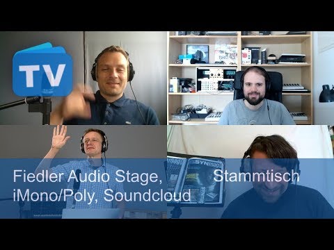 VST Plugin Fiedler Audio Stage, iMono/Poly, Behringer D, - Stammtisch