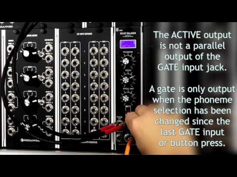 SSL Scat-Talker Exploration #1