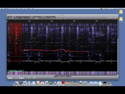 sonicWORX Isolate Vocal Suppression Example
