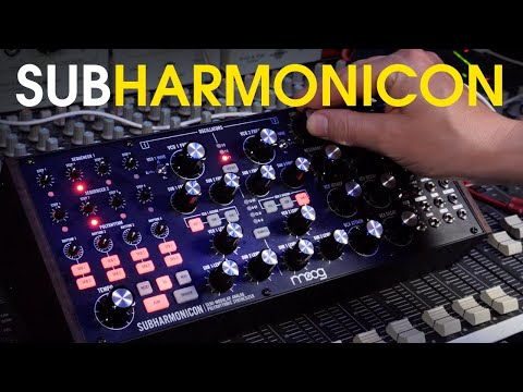 The new Moog Subharmonicon