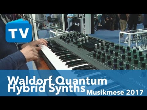 Waldorf Quantum 8 Voice Hybrid Synthesizer - Deutsch - German