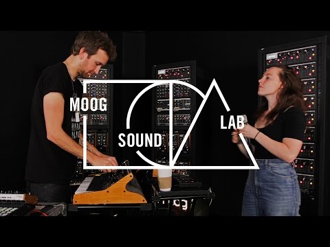 Sylvan Esso | H.S.K.T. | Moog Sound Lab