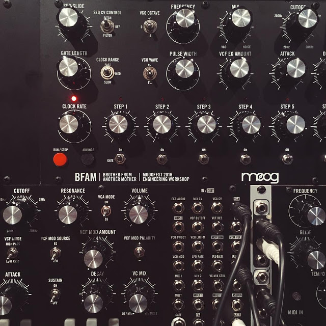 bfam moog