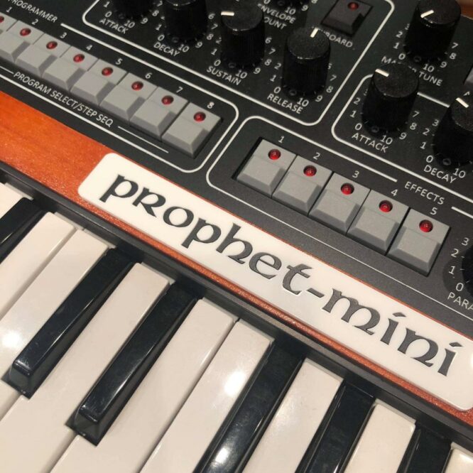 Prophet-Mini PikoPiko