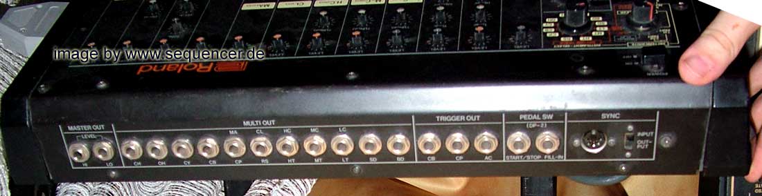 tr808_back.jpg