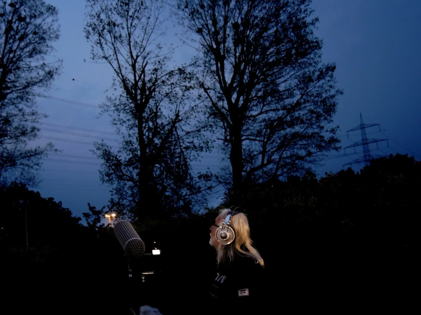 2020-Krähen 02sml.webp