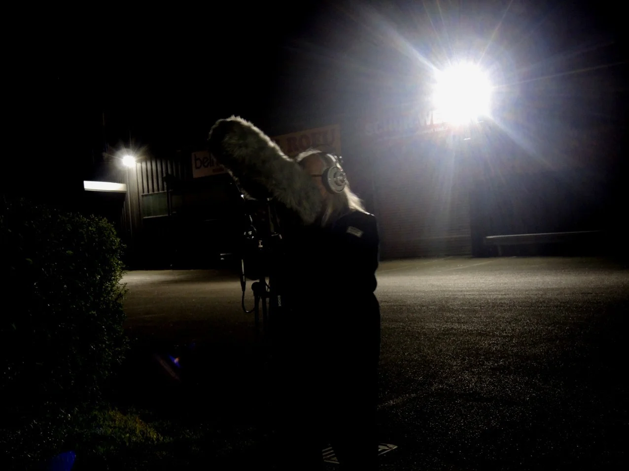 2020-Krähen 08sml.webp