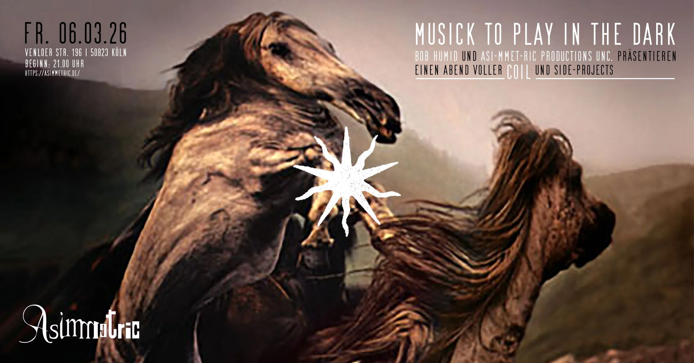 Musick To Play In The Asimmetric RAUSGEGANGEN 191 zu 100.webp