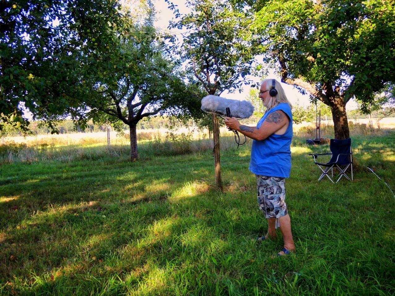 Streuobstwiese 05.webp