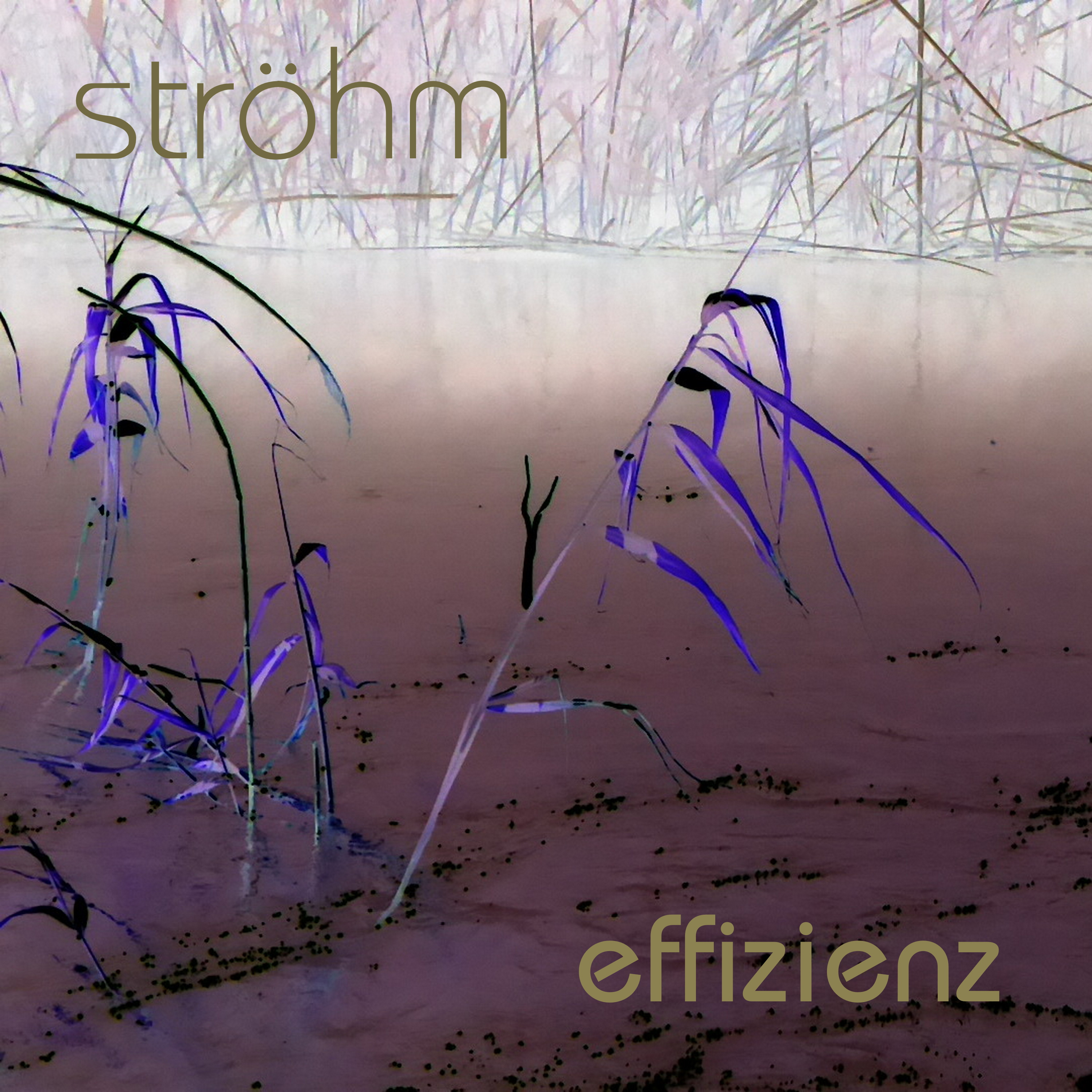 stroehm_effizienz.jpg