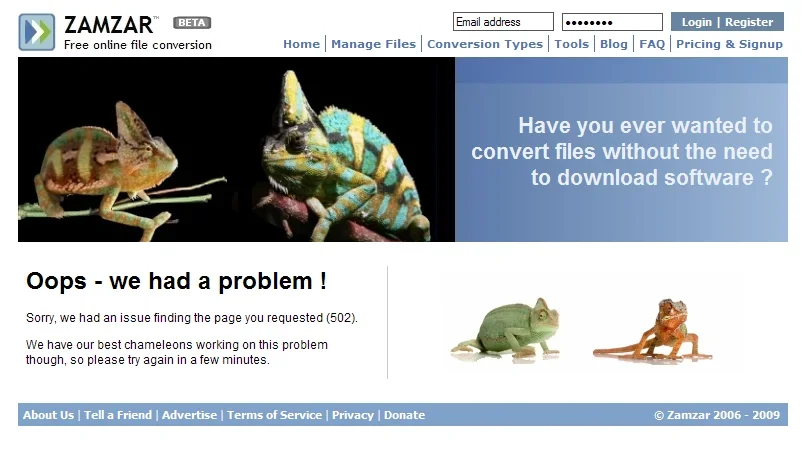 chameleons-working.webp