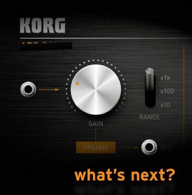 whats_next_korg.jpg