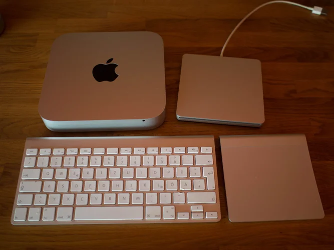 thinking woods (1 von 1)-5.webp