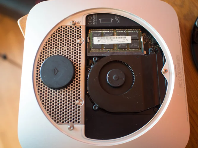 thinking woods (1 von 1)-4.webp