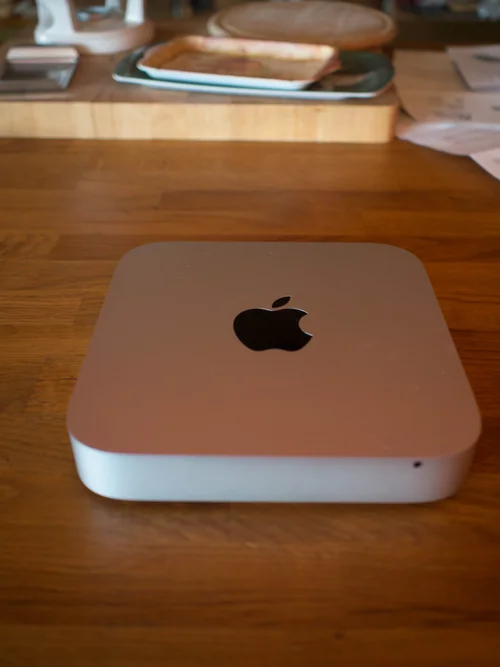 thinking woods (1 von 1)-6.webp