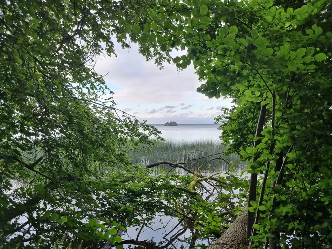 2021-08-17 19.14.04.webp