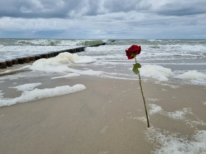 2021-08-19 14.30.06.webp