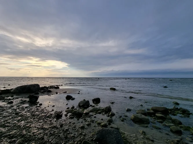 2021-08-18 19.02.02.webp