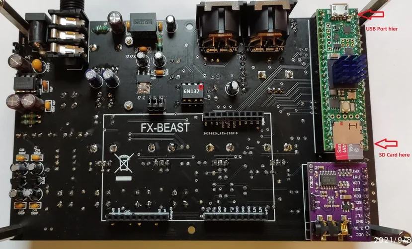 Jeannie Backside.webp