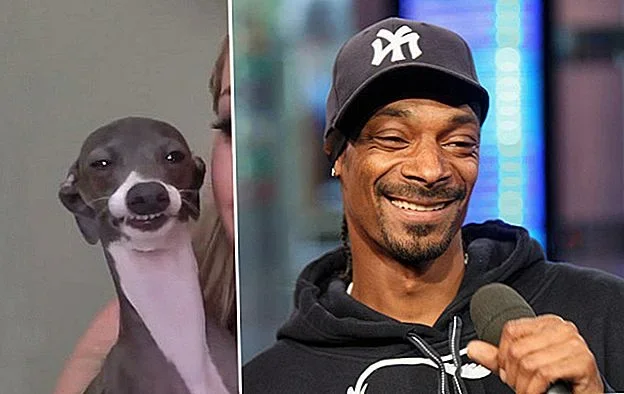 snoop-doggs-secret-soft-spot-that-everyone-needs-to-know-7.webp