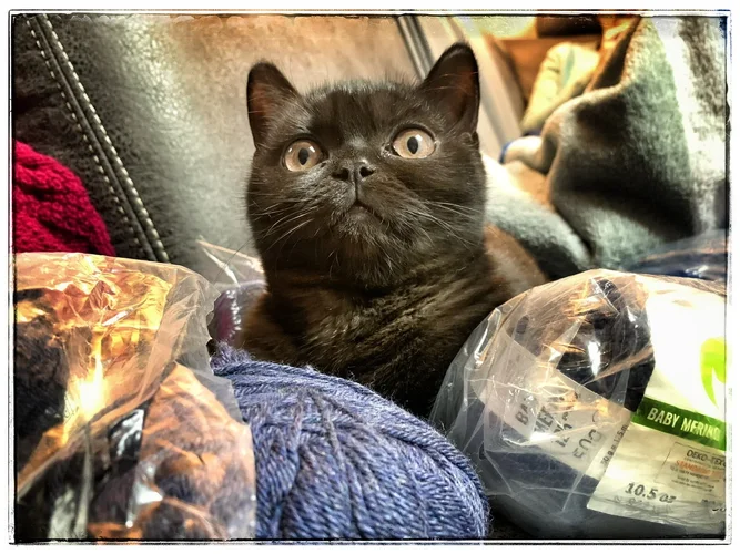 9221B2D5-F37B-41B9-B9A9-C60EF53F5A97.webp 9221B2D5-F37B-41B9-B9A9-C60EF53F5A97.webp