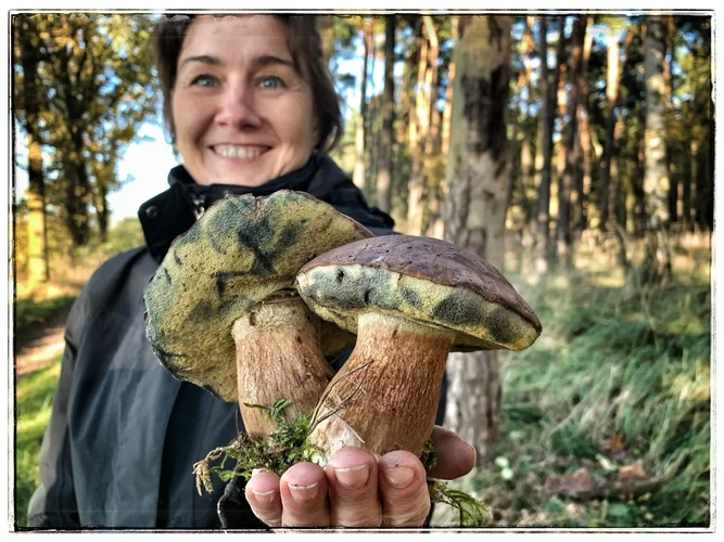 723B07B5-E031-418D-93CF-06D97414EE45.webp 723B07B5-E031-418D-93CF-06D97414EE45.webp