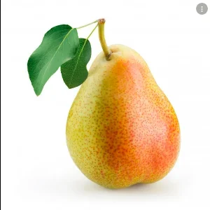 1635102268227.png 1635102268227.png