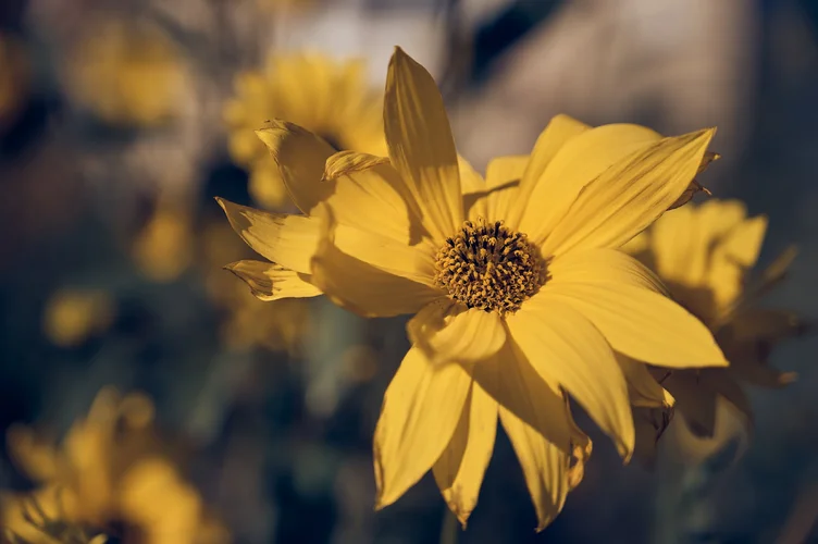 Park-Walk_557.webp Park-Walk_557.webp