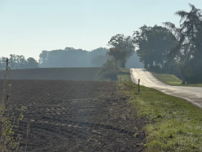 P1050779.webp P1050779.webp