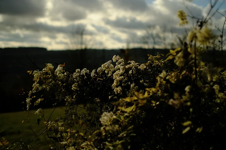 TonKlangLichterTNovember - 1.webp