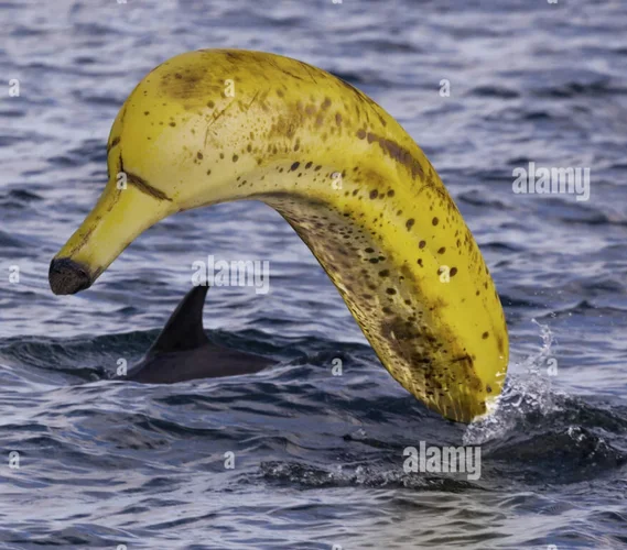 Bildschirmfoto 2021-11-04 um 23.10.43.webp Bildschirmfoto 2021-11-04 um 23.10.43.webp