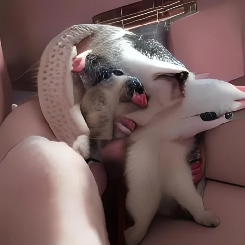 mu f6dcf13d08564948b001d8e7fb4a5d4e_00000.webp