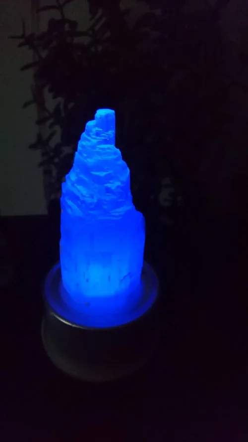 DSC_0144.webp DSC_0144.webp