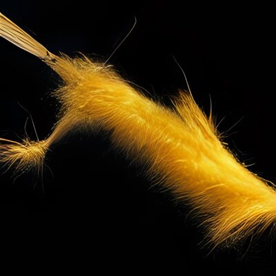 hairy fantasy-bacteria micro -iStock -11.jpg