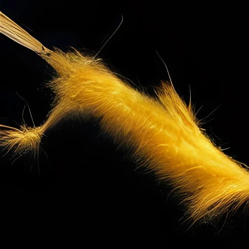 hairy fantasy-bacteria micro -iStock -11.jpg hairy fantasy-bacteria micro -iStock -11.jpg