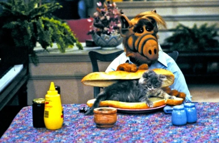 media.media.f8a35a23-1cc3-4004-bcc3-546bdb5c4cf9.original1024.webp media.media.f8a35a23-1cc3-4004-bcc3-546bdb5c4cf9.original1024.webp