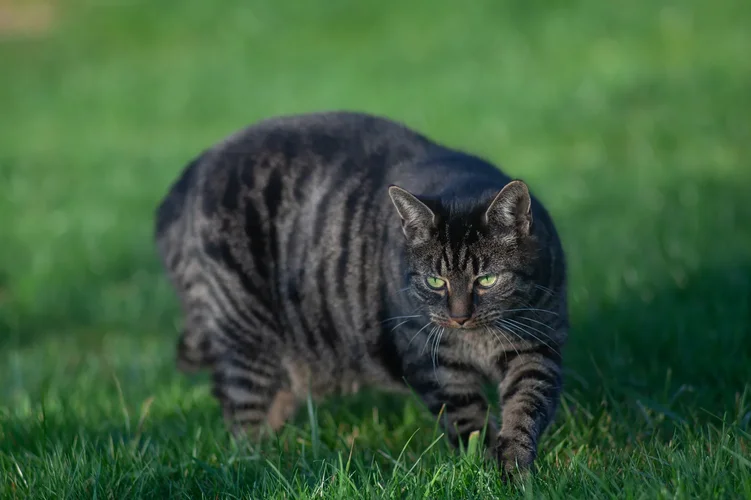 EEBB6BB7-097D-4CCB-B426-AAA61FB77050.webp EEBB6BB7-097D-4CCB-B426-AAA61FB77050.webp