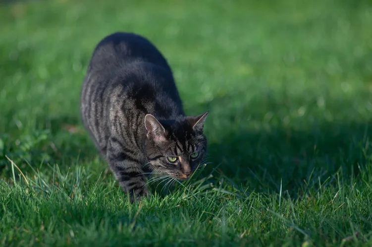 CB3CDECD-6D32-4E74-B894-64BCF5CC6A44.webp CB3CDECD-6D32-4E74-B894-64BCF5CC6A44.webp