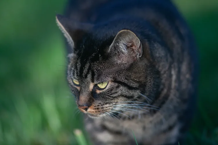 F8DE09B2-19FD-450E-8D30-EC4713EEF1BD.webp F8DE09B2-19FD-450E-8D30-EC4713EEF1BD.webp