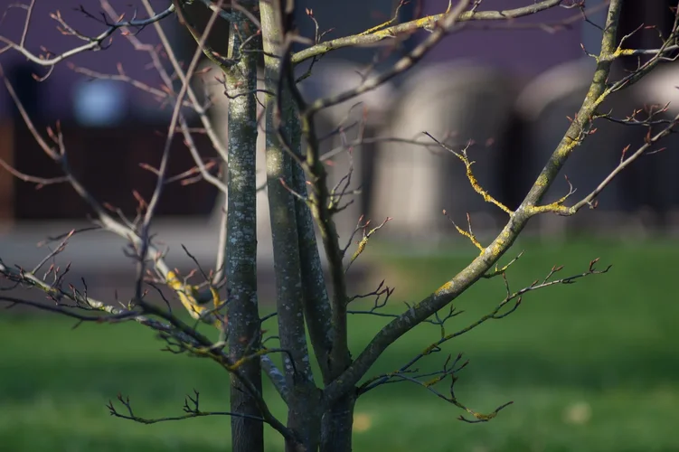 1904ADAD-2A8D-4A4C-AEF8-C97F8A5353EB.webp 1904ADAD-2A8D-4A4C-AEF8-C97F8A5353EB.webp