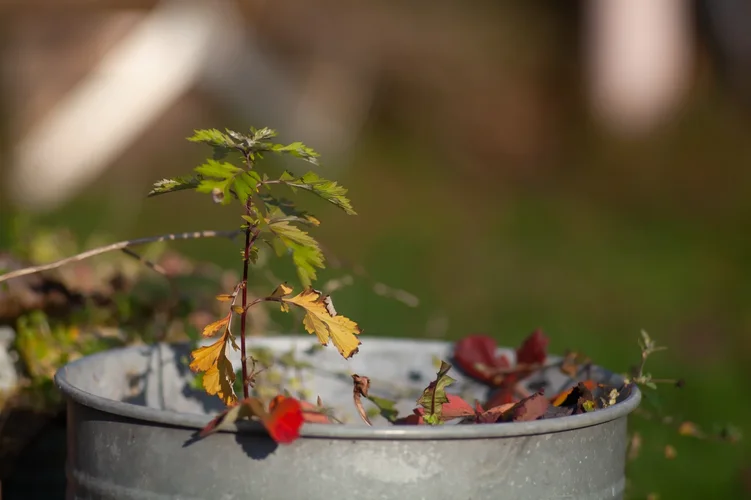 996A8739-BC1B-4B1A-9998-2FE860679DDB.webp 996A8739-BC1B-4B1A-9998-2FE860679DDB.webp