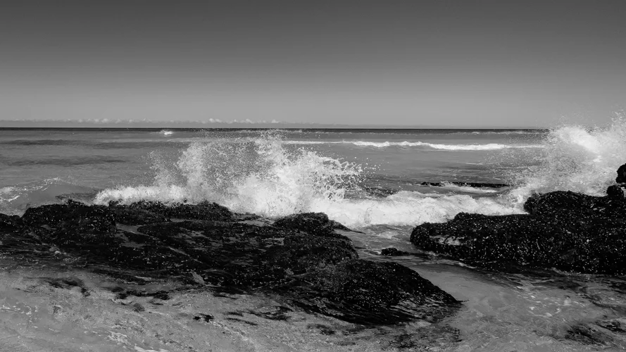 DSCF1707-2.webp DSCF1707-2.webp