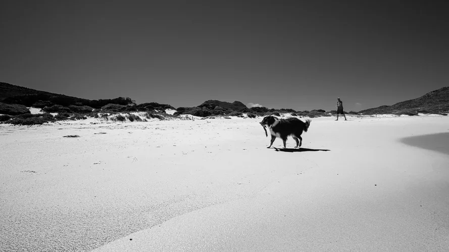 DSCF1704.webp DSCF1704.webp